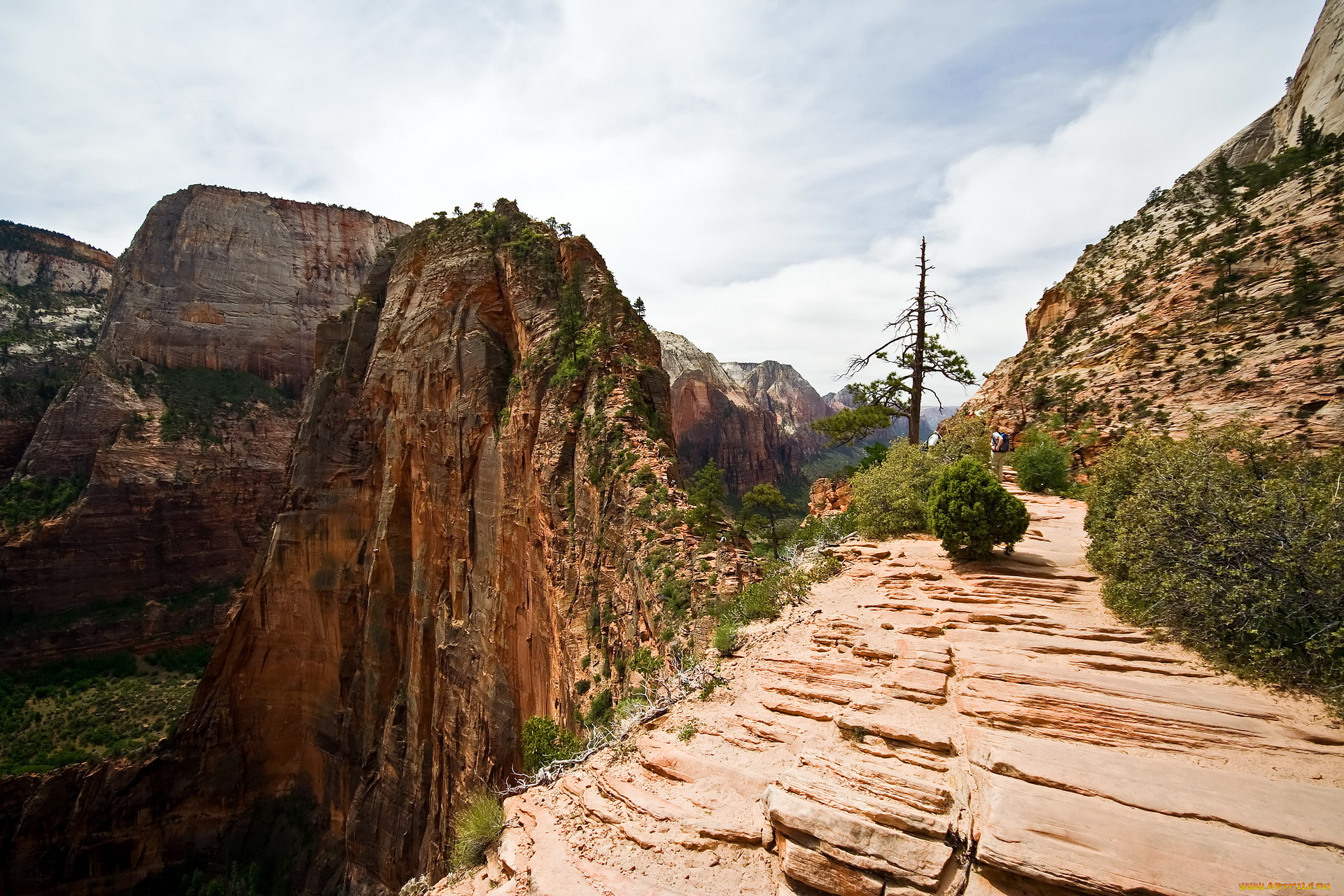 zion, national, park, usa, utah, , , , 